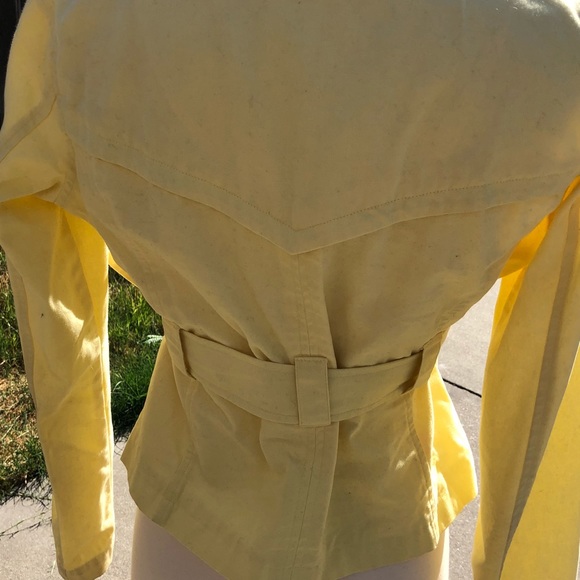 Yellow jacket - Picture 5 of 6